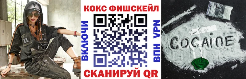 Cocaine FishScale  Купить закладки  Володарск 
