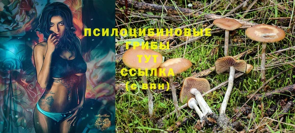кокаин Богданович
