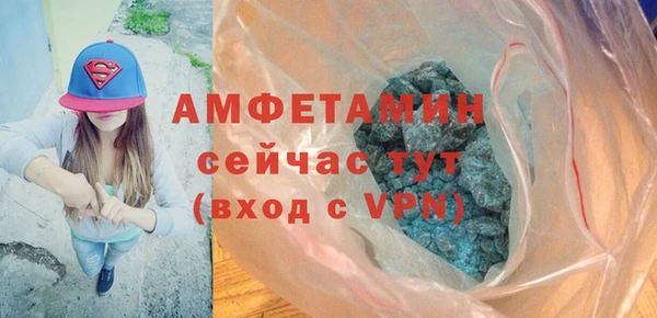 дживик Богородск