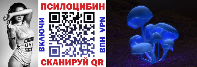 Купить закладки  Володарск  Галлюциногенные грибы GOLDEN TEACHER 